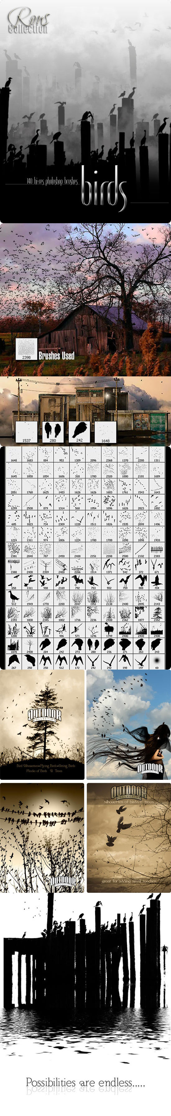Rons&nbsp;公司出品的高清飞鸟、鸟群、树木、电线杆等笔刷