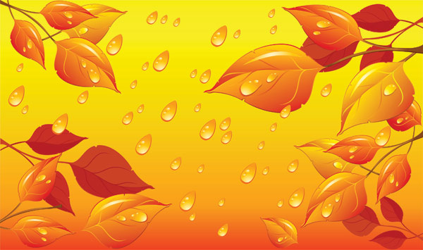 红叶水珠矢量素材