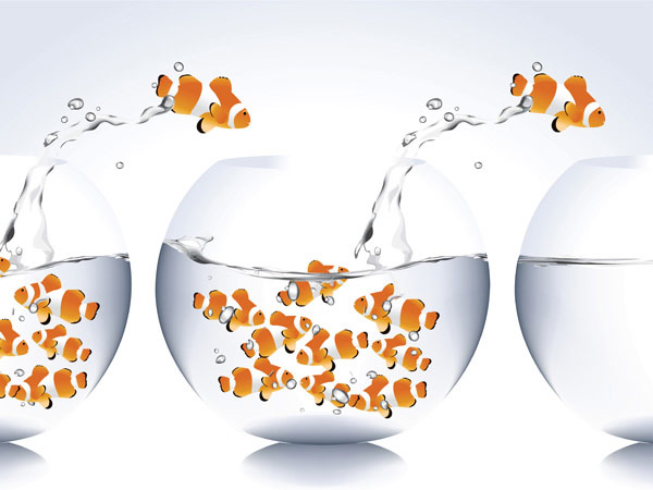 跳出鱼缸的鱼矢量素材