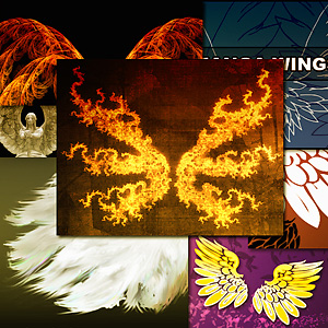 高清晰翅膀类笔刷合集（共8款）