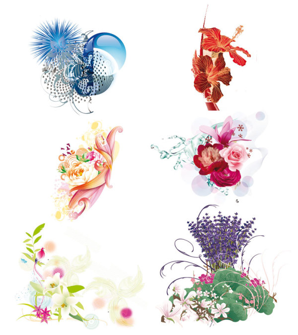 精美花朵&mdash;矢量素材