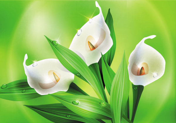 精美鲜花02&mdash;&mdash;矢量素材