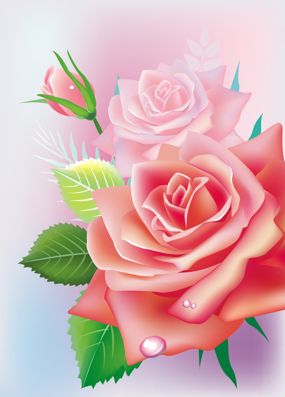 精美玫瑰花02&mdash;&mdash;矢量素材