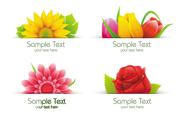 Beautiful flowers 03 - vector material