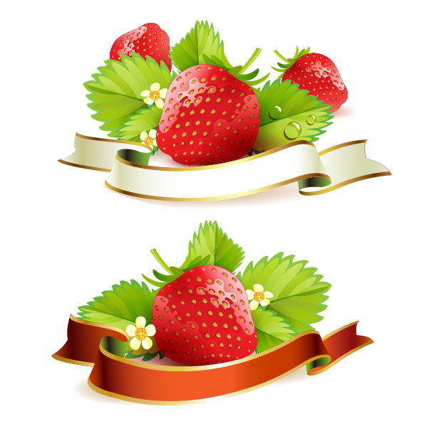 Strawberry theme background 03 - vector material