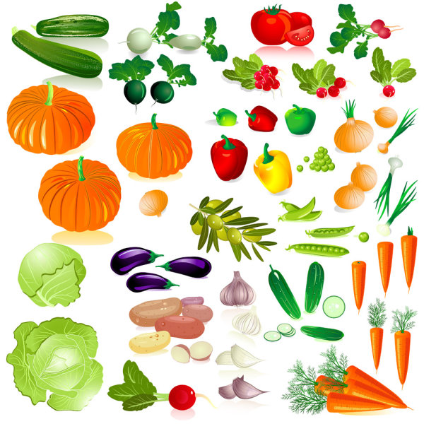 Vegetables image 02 - vector material