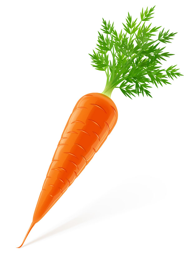 Vegetables image 01 - vector material