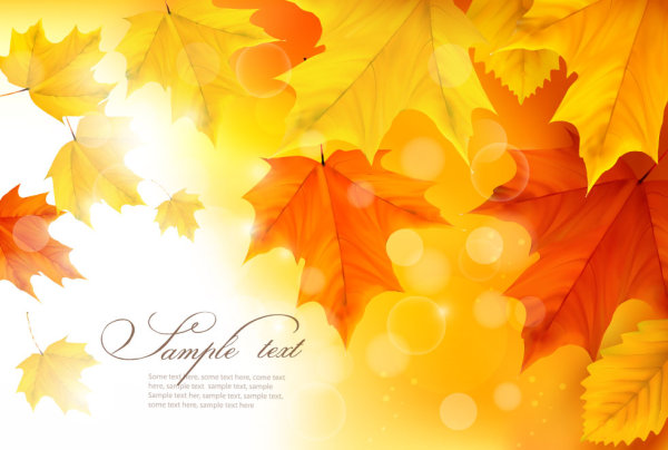 Beautiful autumn card 01 - vector material