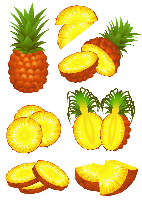 Fruit 02 - vector material