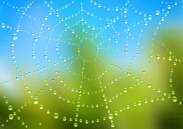 Dew cobweb 05 - vector material