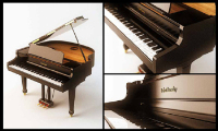 Arc playing type grand piano 3D models