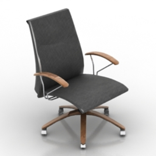 Computer pulley chair model