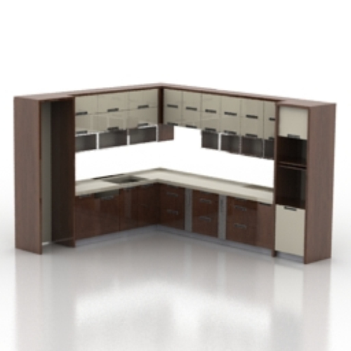 European model of the whole cabinet