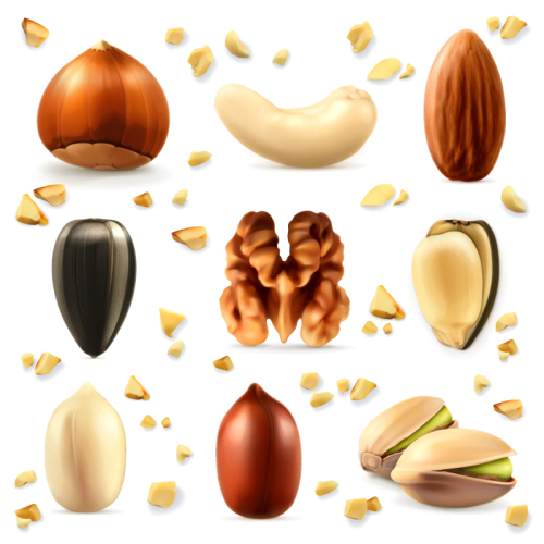 9 delicious nuts realistic vector material