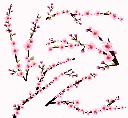 5 pink cherry branch vector material