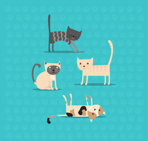 4 cute pet cat vector material