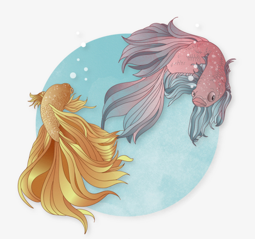 2 Painted Goldfish vector material