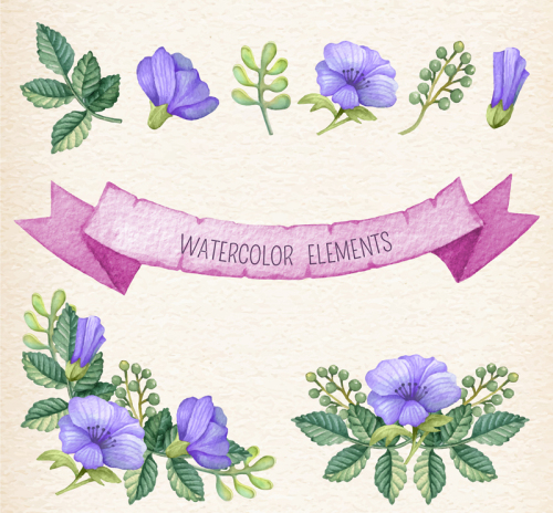 8 watercolor floral and leaf design vector